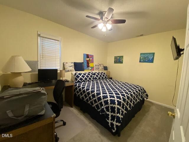 BR 3 - 301 Pebble Hill Lane, Henderson, NC 27537, Henderson