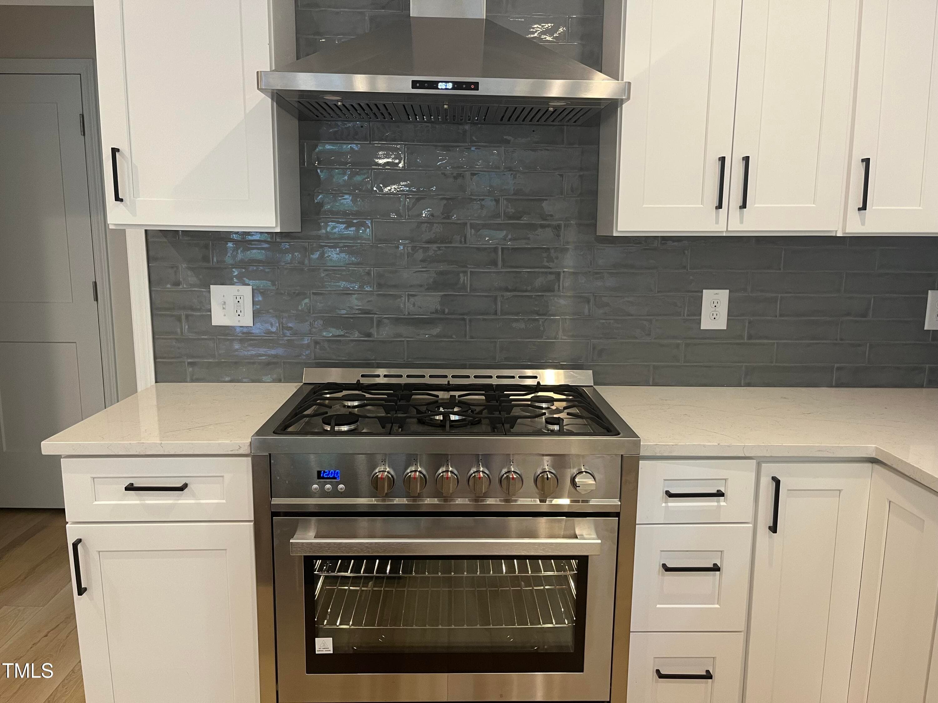 IMG_8334 - 313 W Cornwallis Road, Durham, NC 27707
