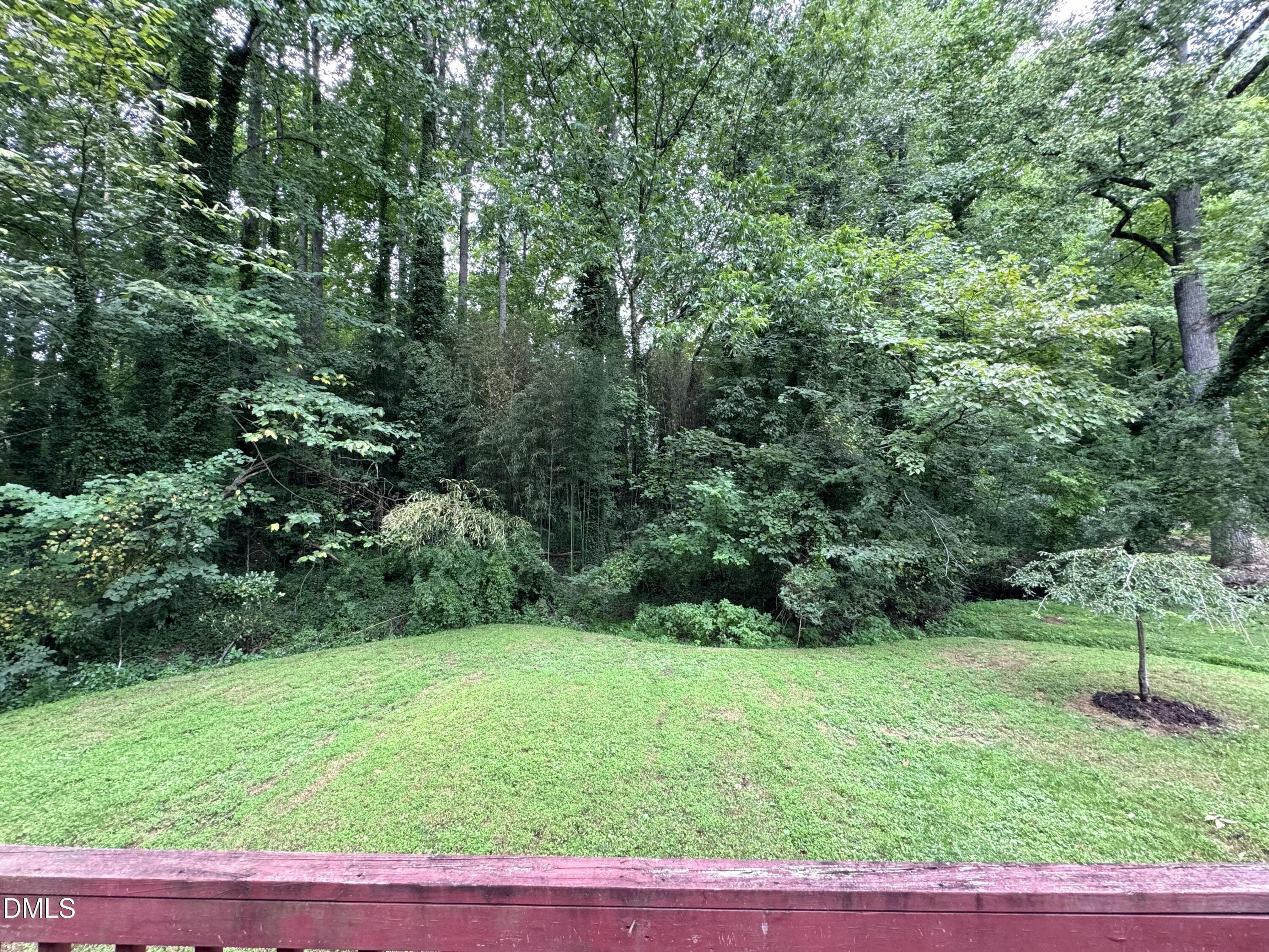 IMG_9481-1 - 709 N Fir Avenue, Siler City, NC 27344, Siler City