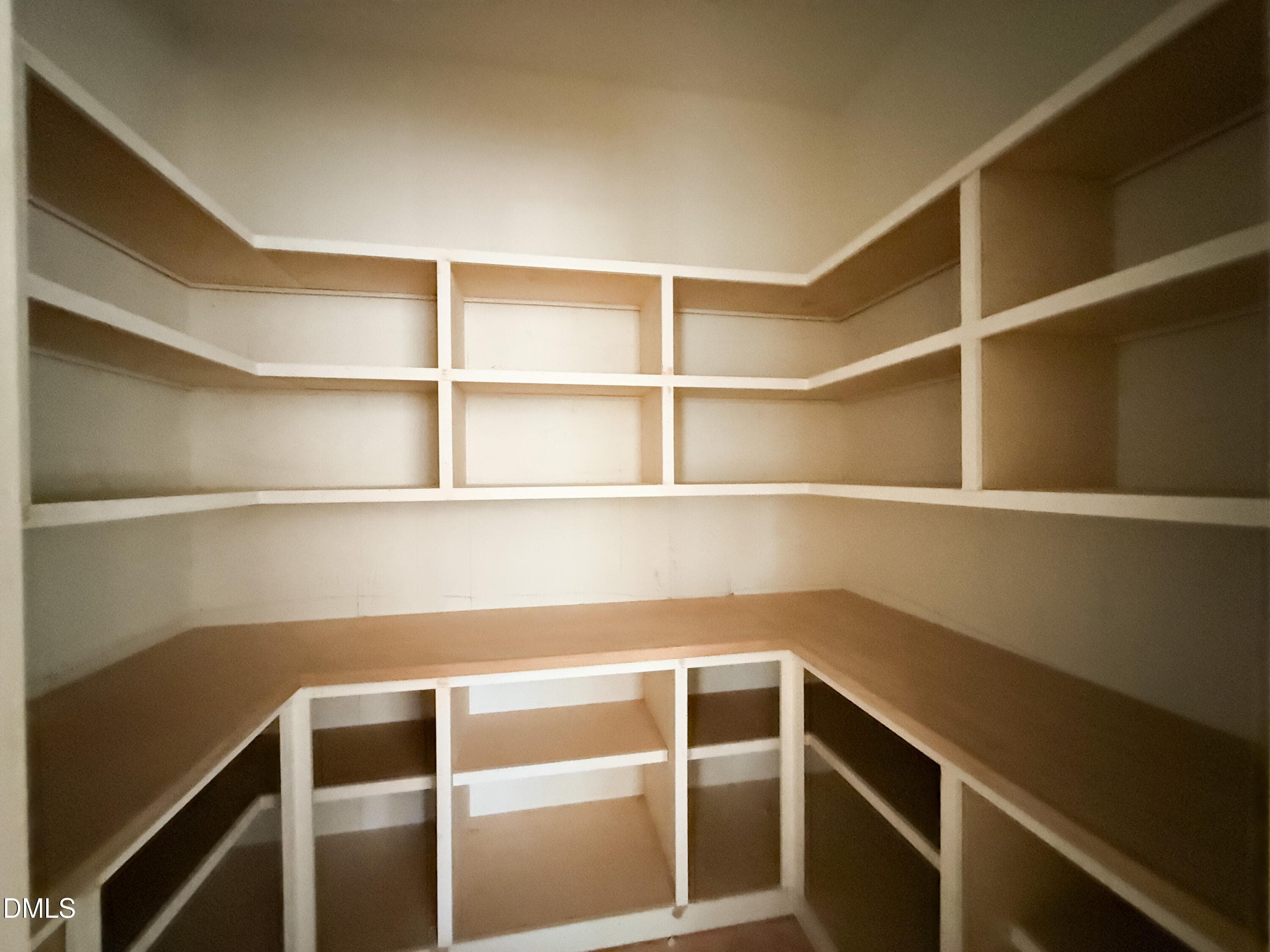 12 - Large Pantry with Built In Shelving - 333 Black Caviar Way, Raleigh, NC 27603, Raleigh