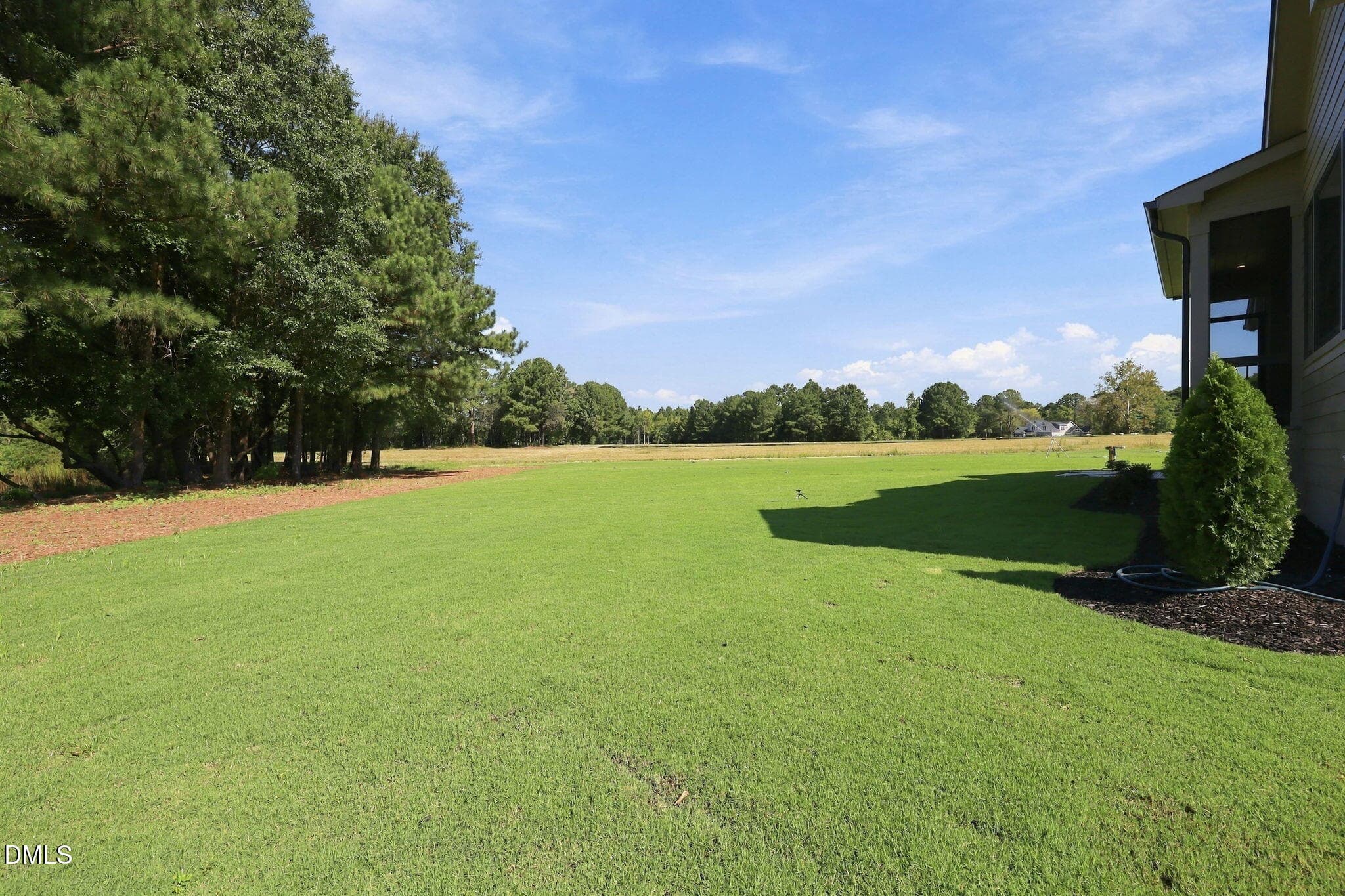 59-web-or-mls-IMG_0145 - 2509 Rosslare Pond Trail, Wendell, NC 27591, Wendell