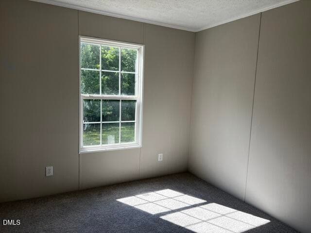 9da672ba-9e20-4d2a-aab6-3fcbdbe82520 - 137 Hill Drive, Macon, NC 27551, Macon