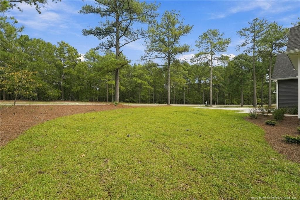 Photo 42 - 26820 Peach Orchard Road, Wagram, NC 28396