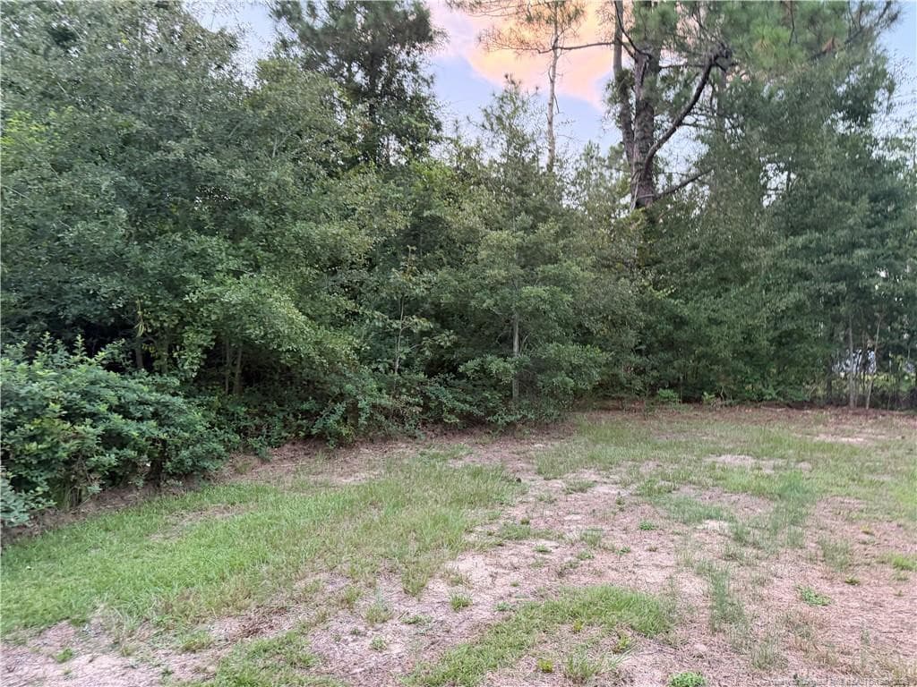 Photo 4 - 19420 Knapp Street, Laurinburg, NC 28352, Laurinburg