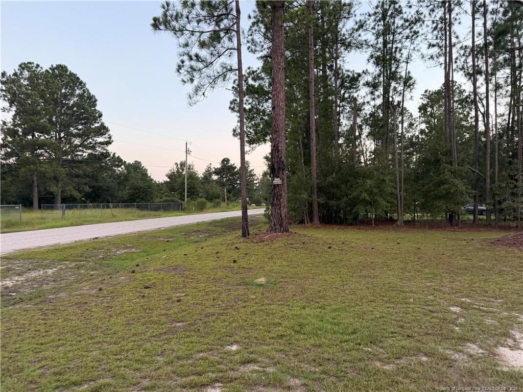 Photo 6 - 19420 Knapp Street, Laurinburg, NC 28352, Laurinburg