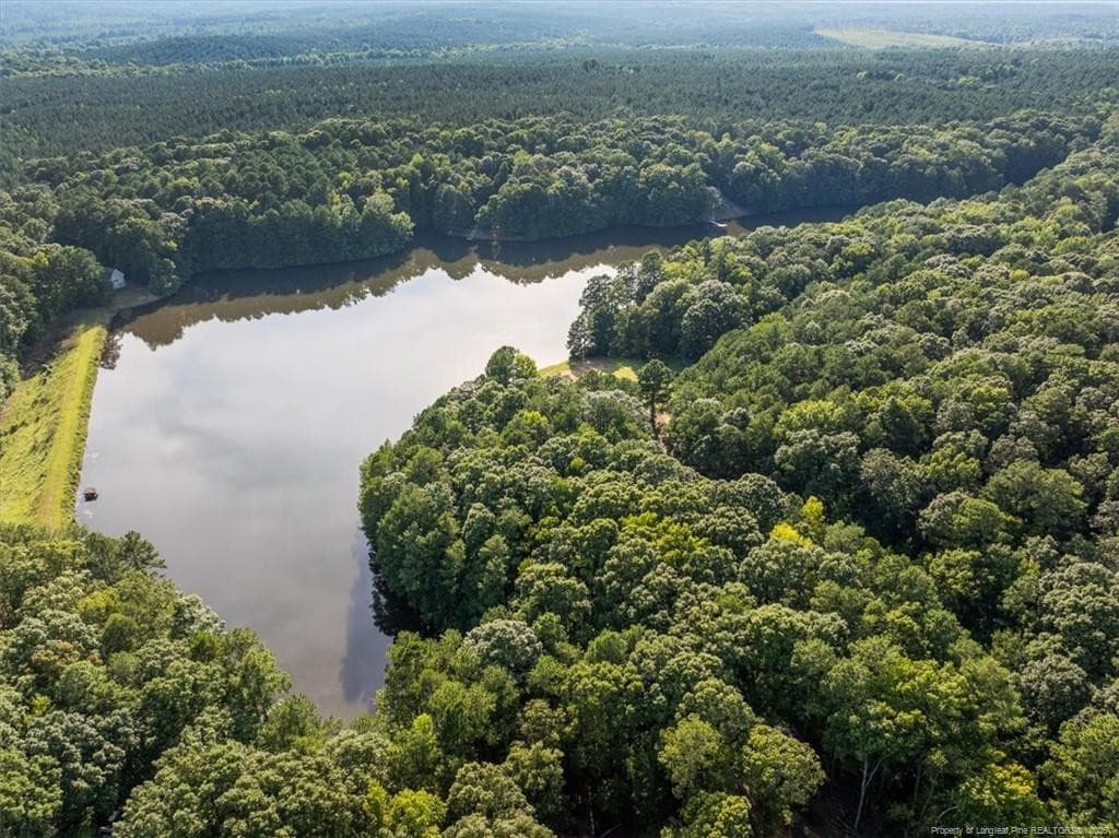 one of two lakes - 150 Horseshoe Hill Lane, Carthage, NC 28327