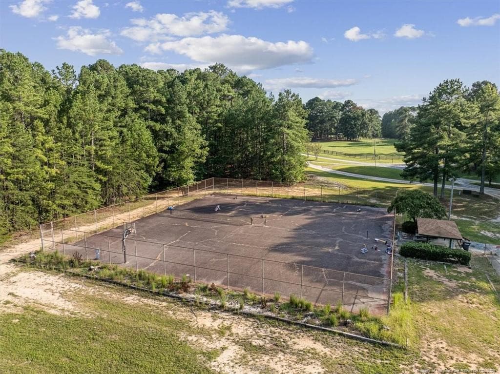 tennis courts - 150 Horseshoe Hill Lane, Carthage, NC 28327