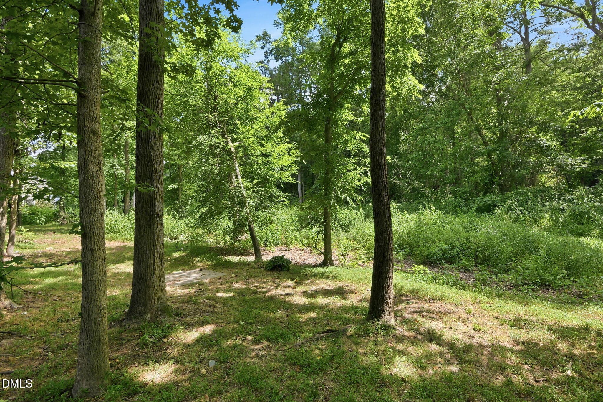 52-web-or-mls-P1132558 - 100 Riverbirch Point, Carrboro, NC 27510, Carrboro