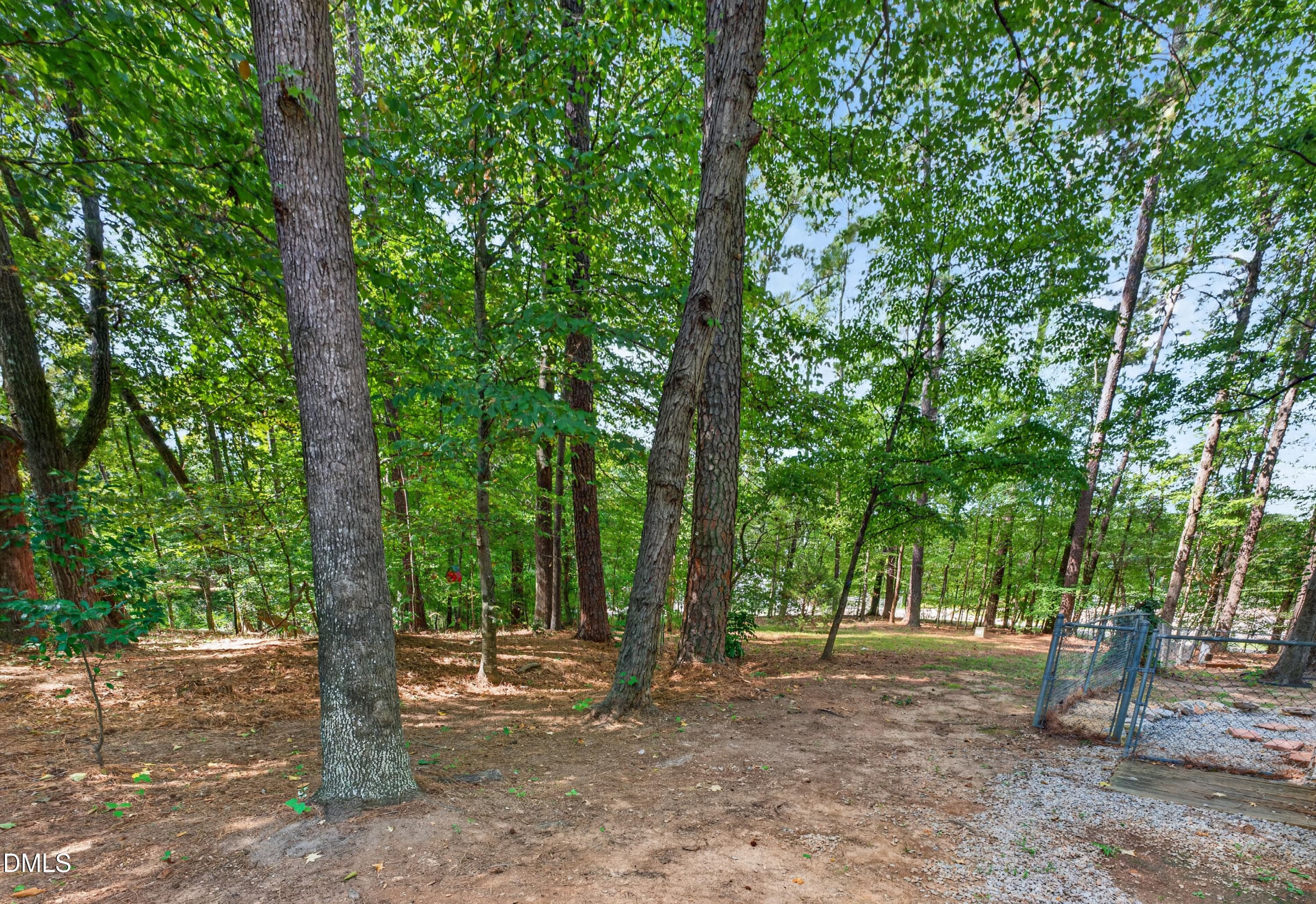 040 - 411 W Cedar Avenue, Wake Forest, NC 27587