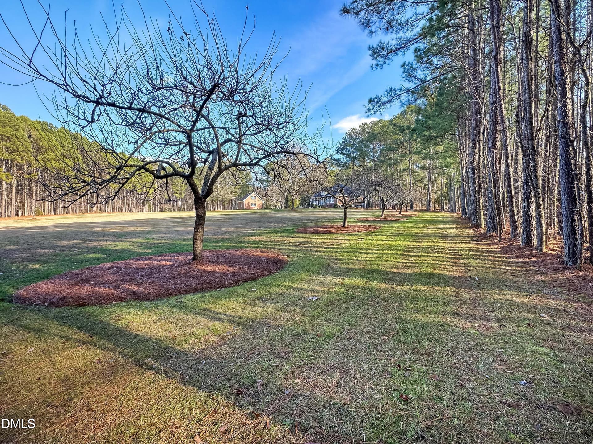 20260108194655208325000000-o - 2769 Weaver Hill Drive, Apex, NC 27502