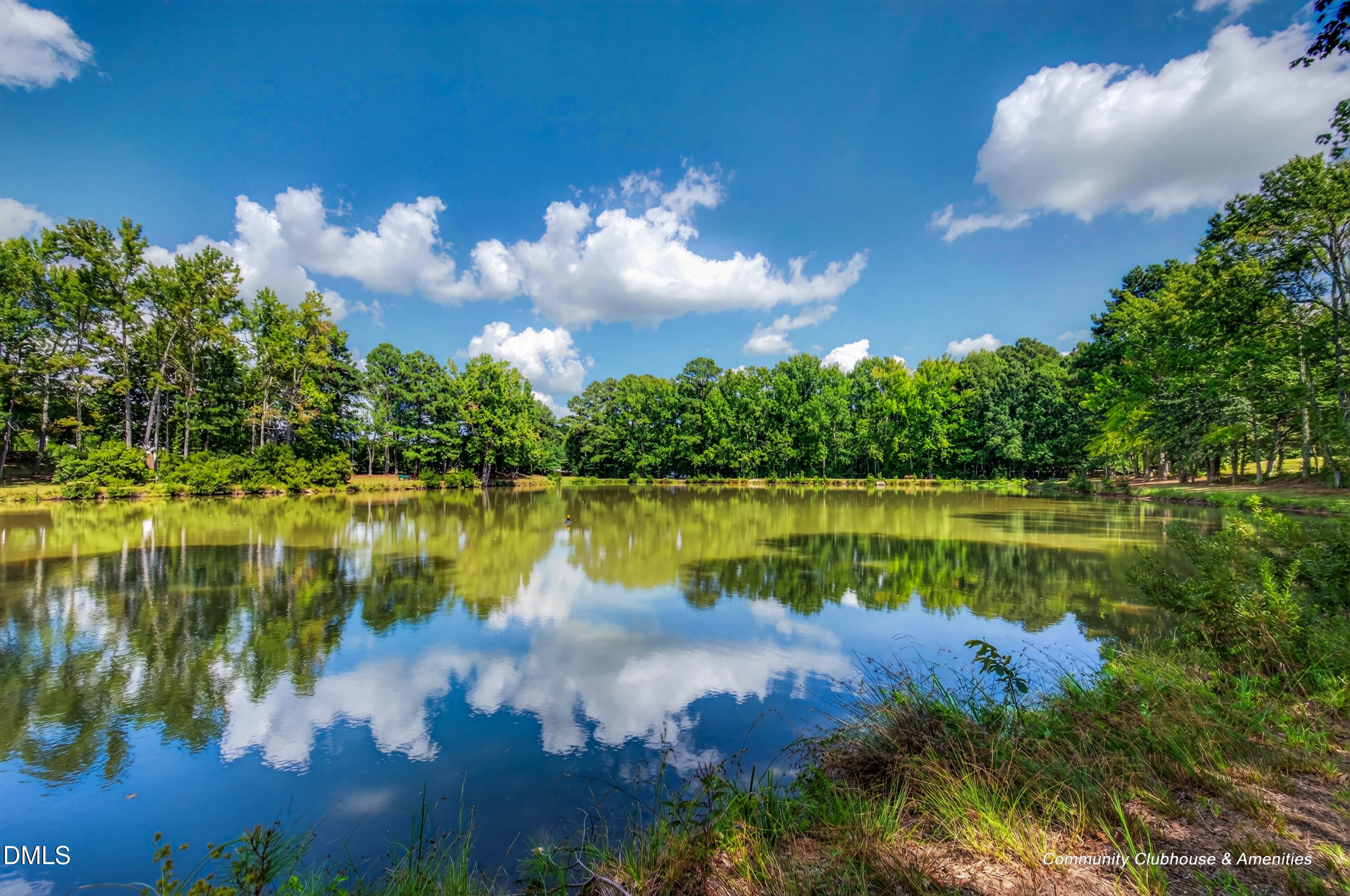 53_1143 platform dr-62 - 1143 Platform Drive, Apex, NC 27502