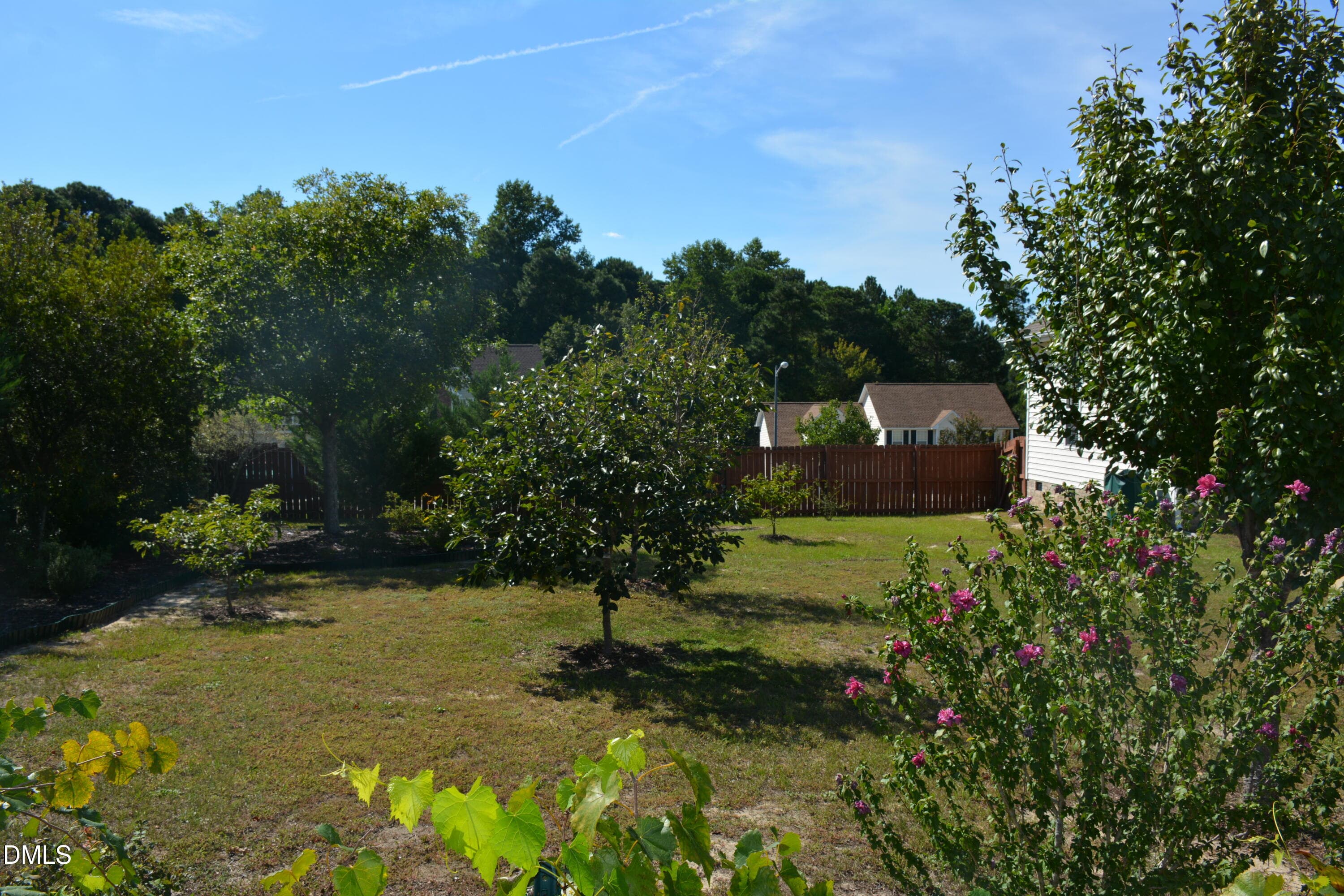 Backyard fruit trees - 116 Leggett Drive, Cameron, NC 28326