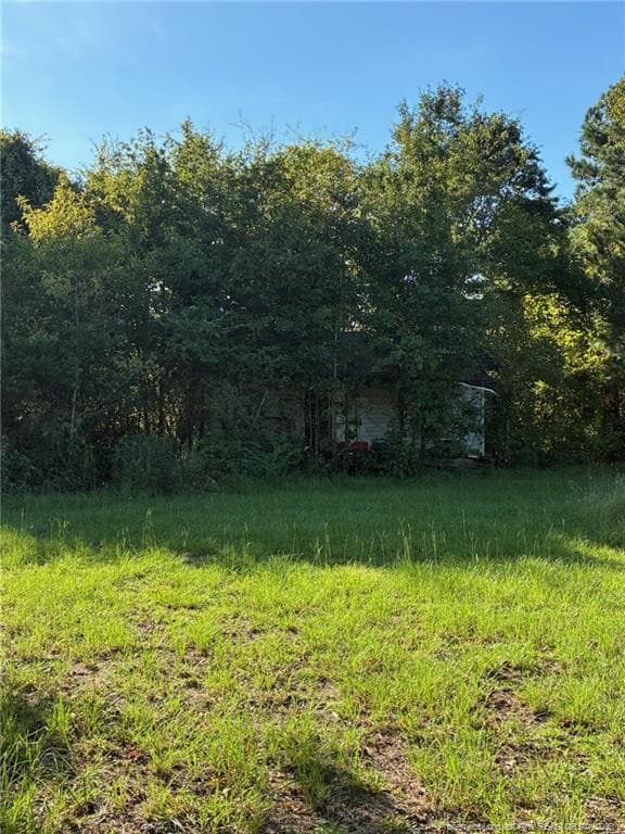 Photo 8 - 139 Teds Road, Parkton, NC 28371