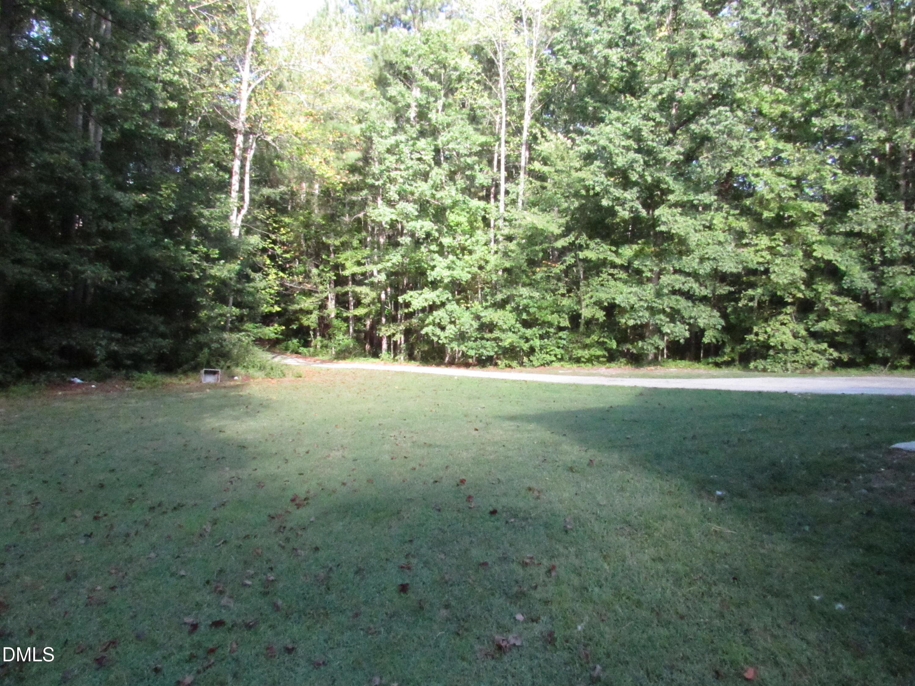 IMG_3690 - 110 Kingfisher Way, Louisburg, NC 27549, Louisburg