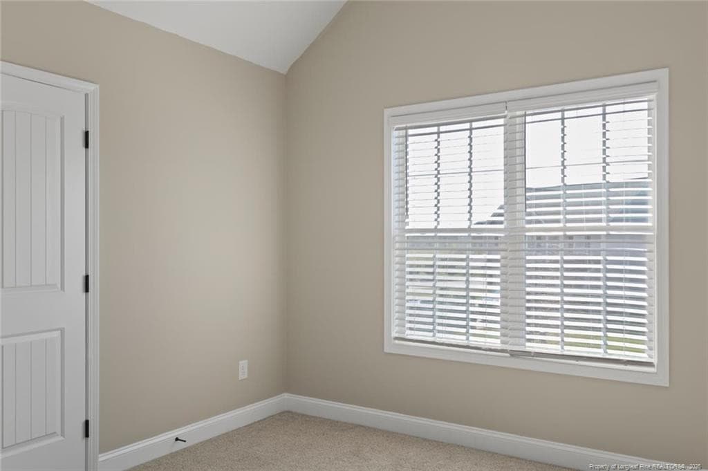 Photo 21 - 130 Courtland (Lot 381) Drive, Raeford, NC 28376