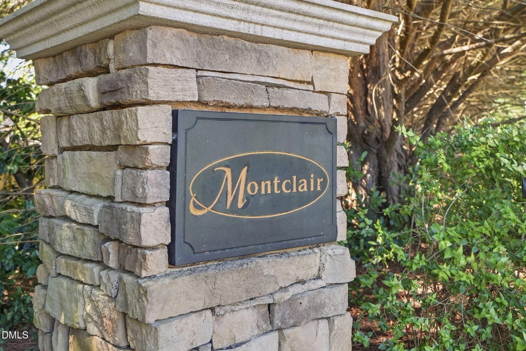 101 Dumont Court-86 - 101 Dumont Court, Apex, NC 27523