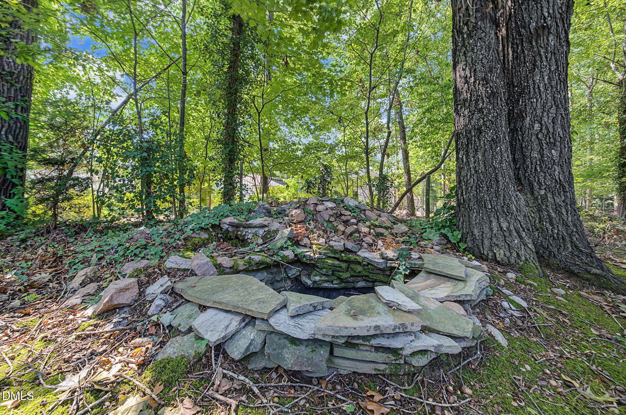 Backyard - 207 Hillstone Drive, Raleigh, NC 27615