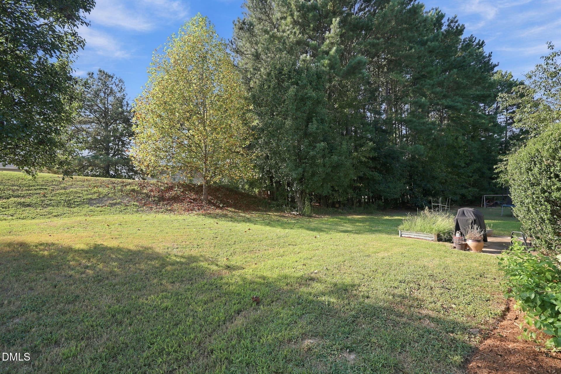 45-web-or-mls-IMG_8919 - 1716 Maizefield Lane, Fuquay Varina, NC 27526