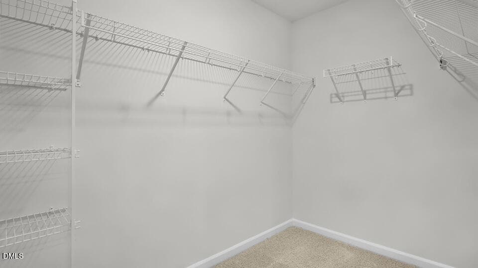 CLOSET - 201 Palomino Way, Clayton, NC 27520