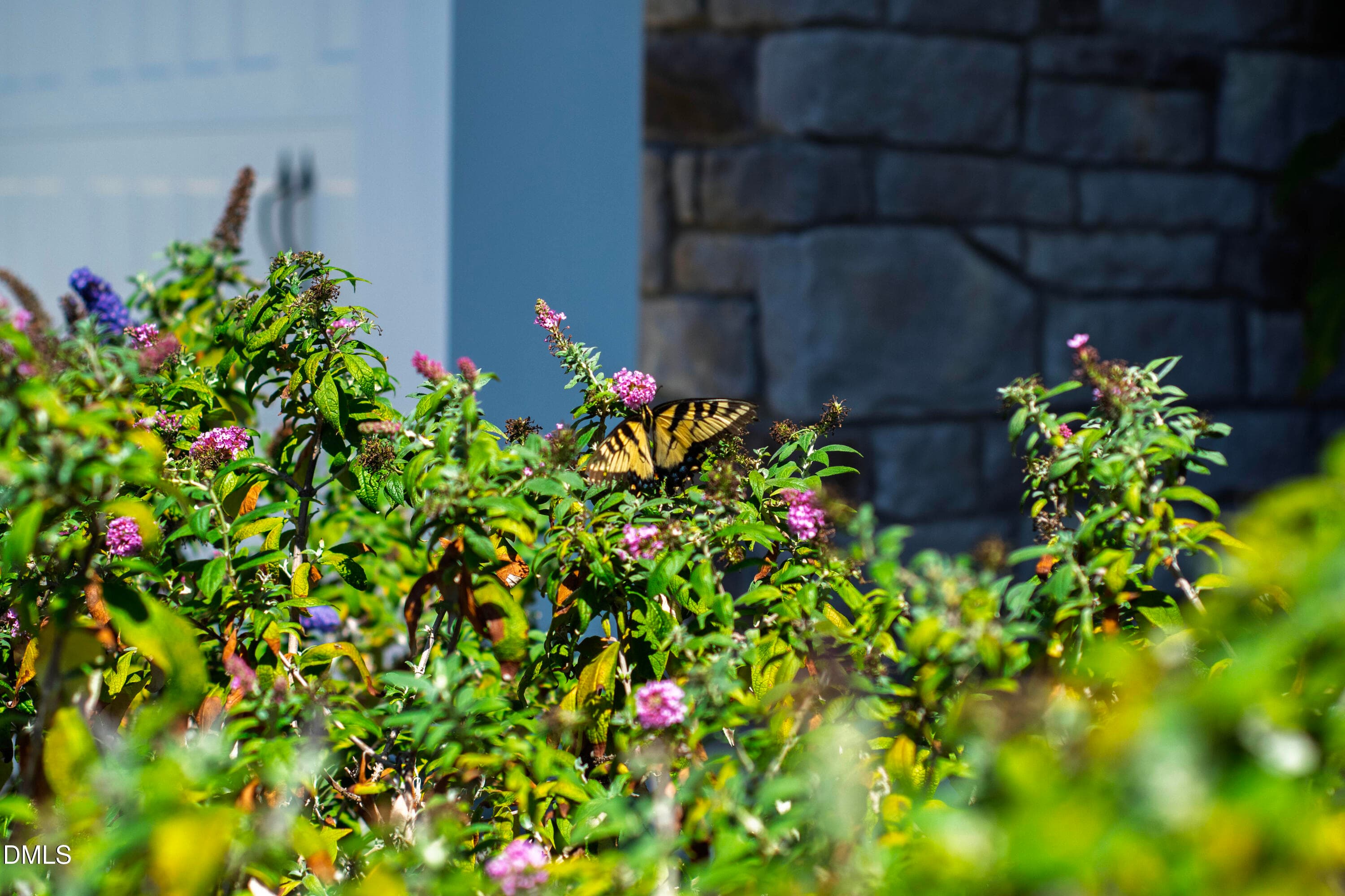 Coontentment (103) - 59 Contentment Lane, Fuquay Varina, NC 27526