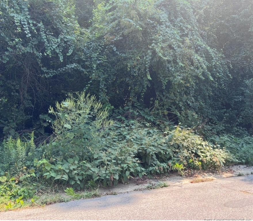 Photo 2 - 421 Preston Avenue, Fayetteville, NC 28301, Fayetteville