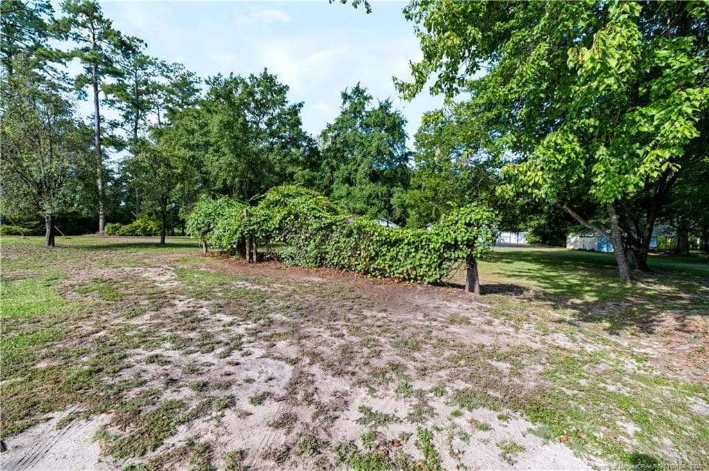 Grapevines - 5110 Old US 421, Lillington, NC 27546