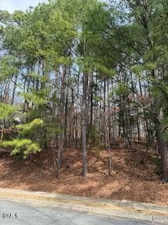 111 Bolinwood Dr. View 2 - 111 Bolinwood Drive, Chapel Hill, NC 27514, Chapel Hill