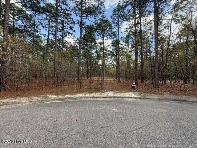 Photo 6 - 27 Birkdale Way, Pinehurst, NC 28374