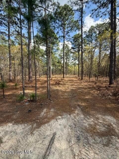 Photo 7 - 27 Birkdale Way, Pinehurst, NC 28374