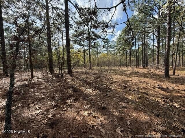 Photo 9 - 27 Birkdale Way, Pinehurst, NC 28374