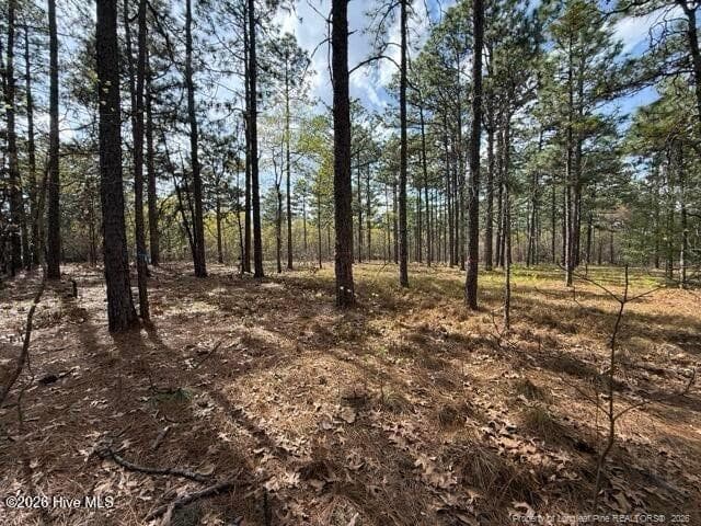 Photo 10 - 27 Birkdale Way, Pinehurst, NC 28374