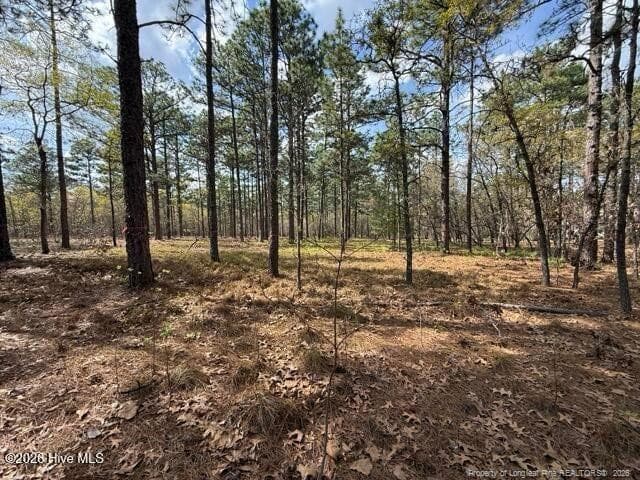 Photo 12 - 27 Birkdale Way, Pinehurst, NC 28374