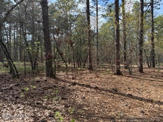 Photo 13 - 27 Birkdale Way, Pinehurst, NC 28374