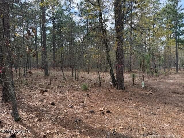 Photo 14 - 27 Birkdale Way, Pinehurst, NC 28374