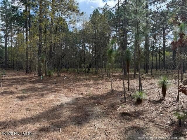 Photo 15 - 27 Birkdale Way, Pinehurst, NC 28374