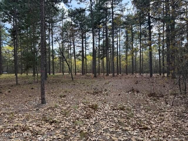 Photo 16 - 27 Birkdale Way, Pinehurst, NC 28374