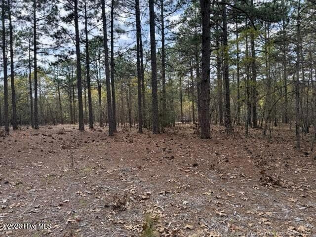 Photo 18 - 27 Birkdale Way, Pinehurst, NC 28374