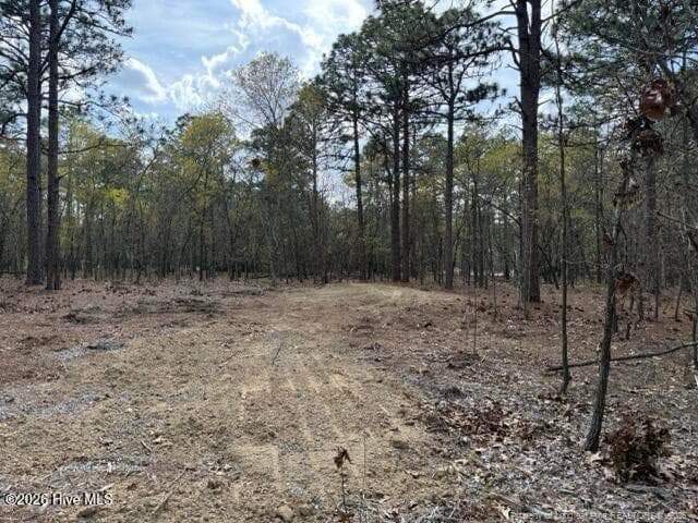 Photo 20 - 27 Birkdale Way, Pinehurst, NC 28374