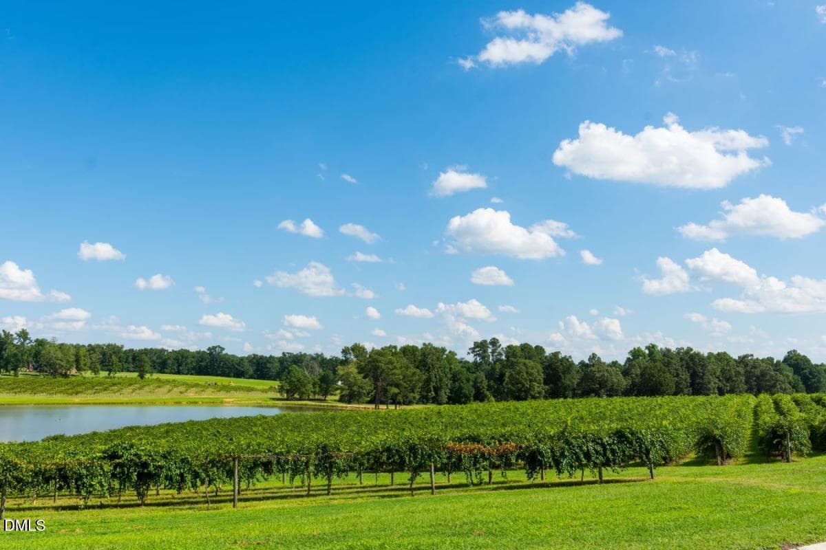 Gregory Vineyards - 576 Highview Drive, Benson, NC 27504