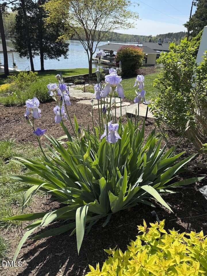 160 CRYSTAL BAY-SPRING VIEW - 160 Crystal Bay Road, Semora, NC 27343, Semora
