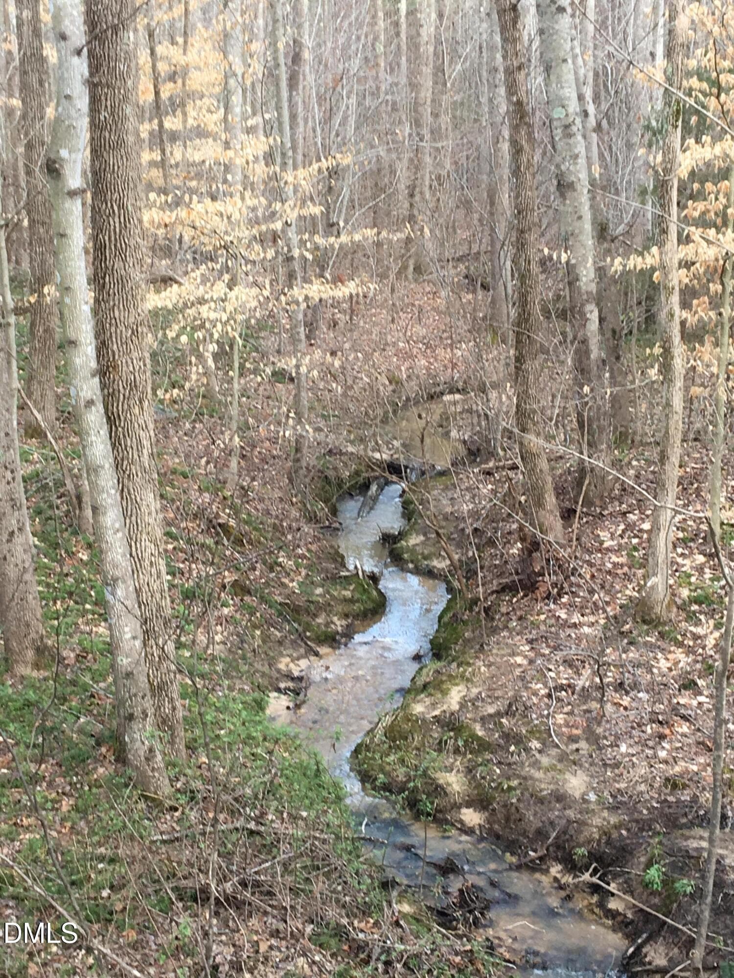 Natural Stream - 632 Whitt Town Road, Roxboro, NC 27574