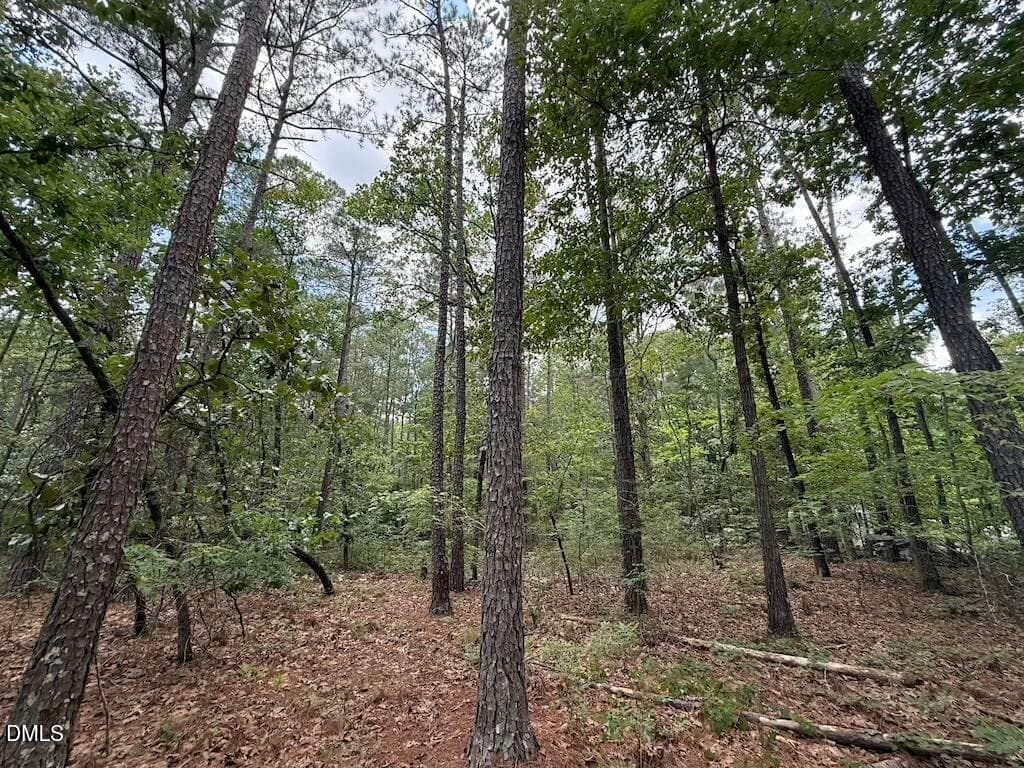 5 - 0 Elfman Drive, Spring Lake, NC 28390