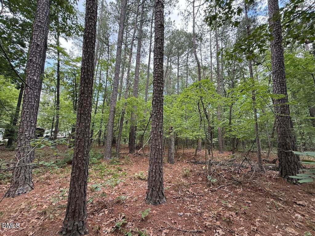 17 - 0 Elfman Drive, Spring Lake, NC 28390