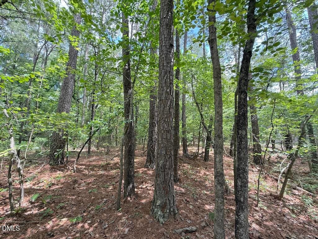 30 - 0 Elfman Drive, Spring Lake, NC 28390