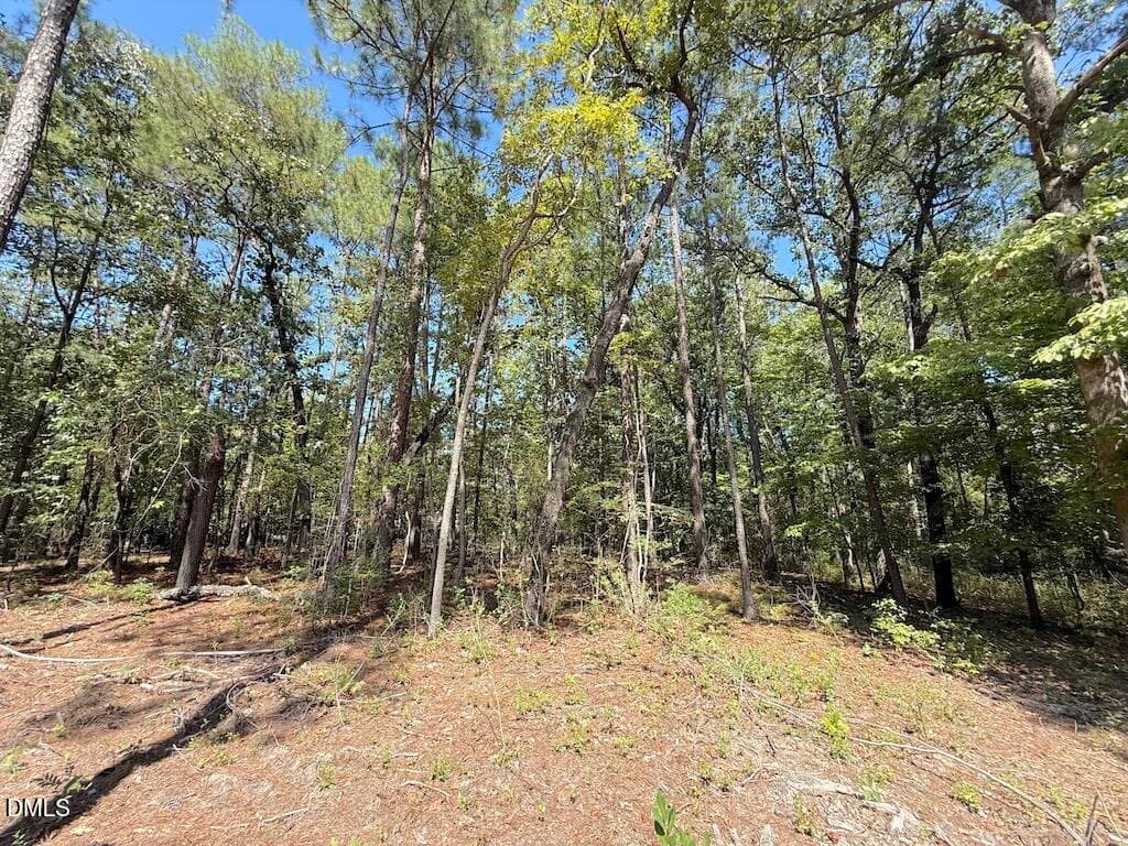 38 - 0 Elfman Drive, Spring Lake, NC 28390