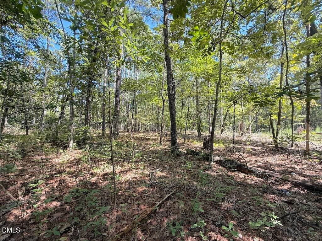 39 - 0 Elfman Drive, Spring Lake, NC 28390