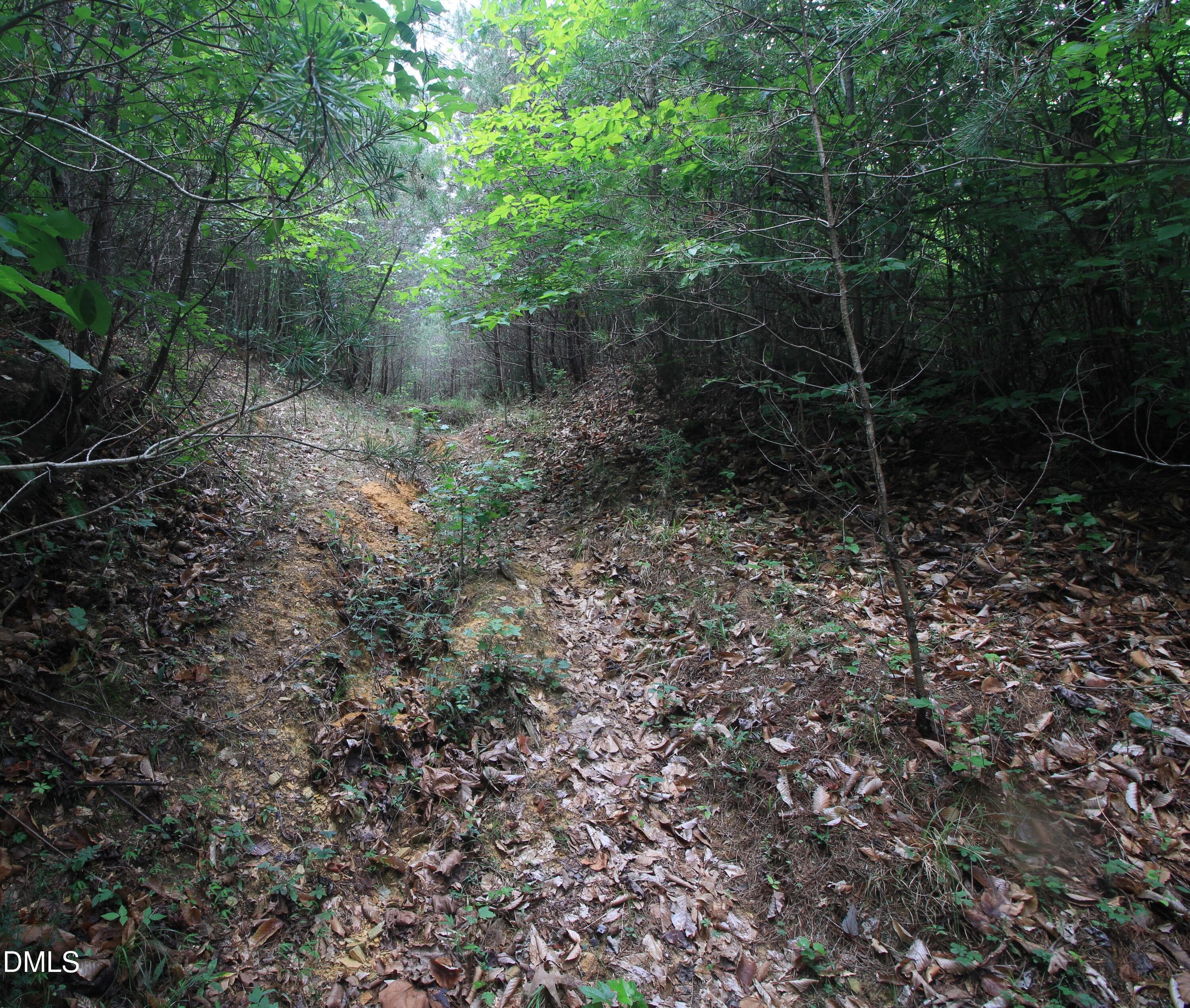 Pic 14 Reidsville - 4220 N Carolina 14, Reidsville, NC 27320