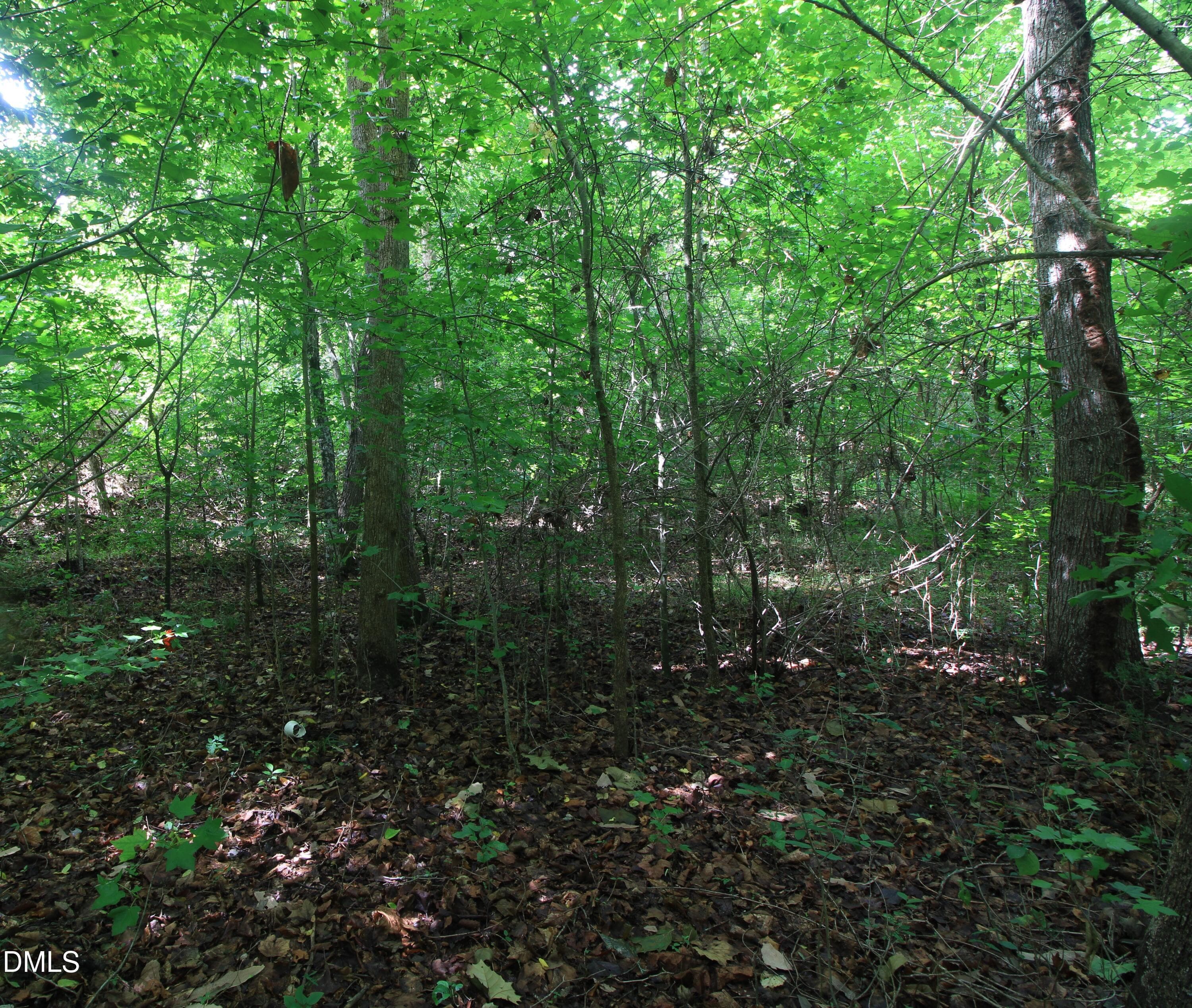 Pic 16 Reidsville - 4220 N Carolina 14, Reidsville, NC 27320