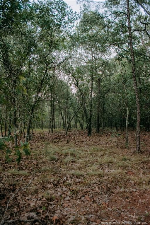 Photo 7 - Lot 3-TBD Nighthawk Loop, Aberdeen, NC 28315