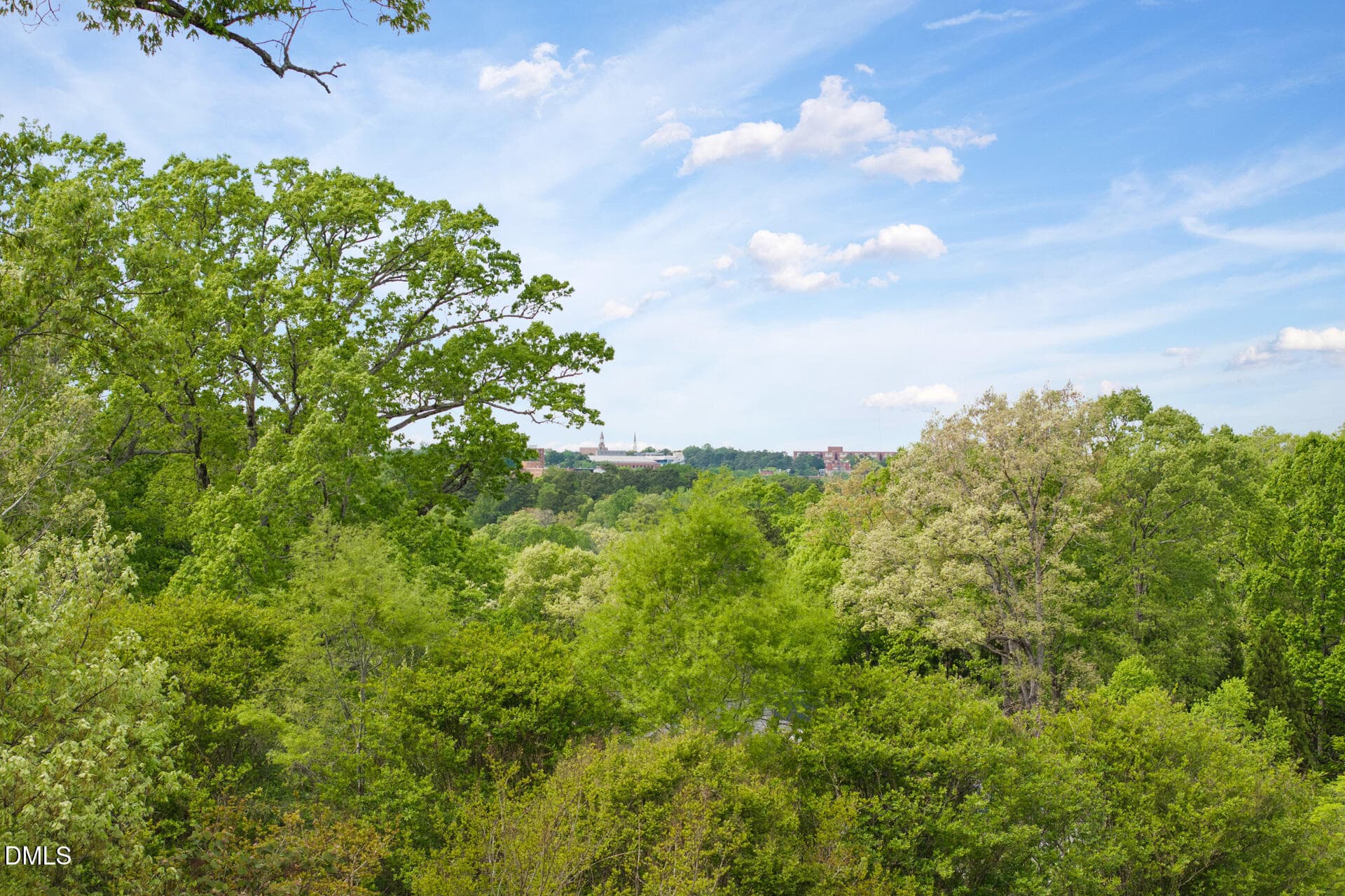 Stunning 3rd Floor View - 101 Quarry Place, Chapel Hill, NC 27517, Chapel Hill